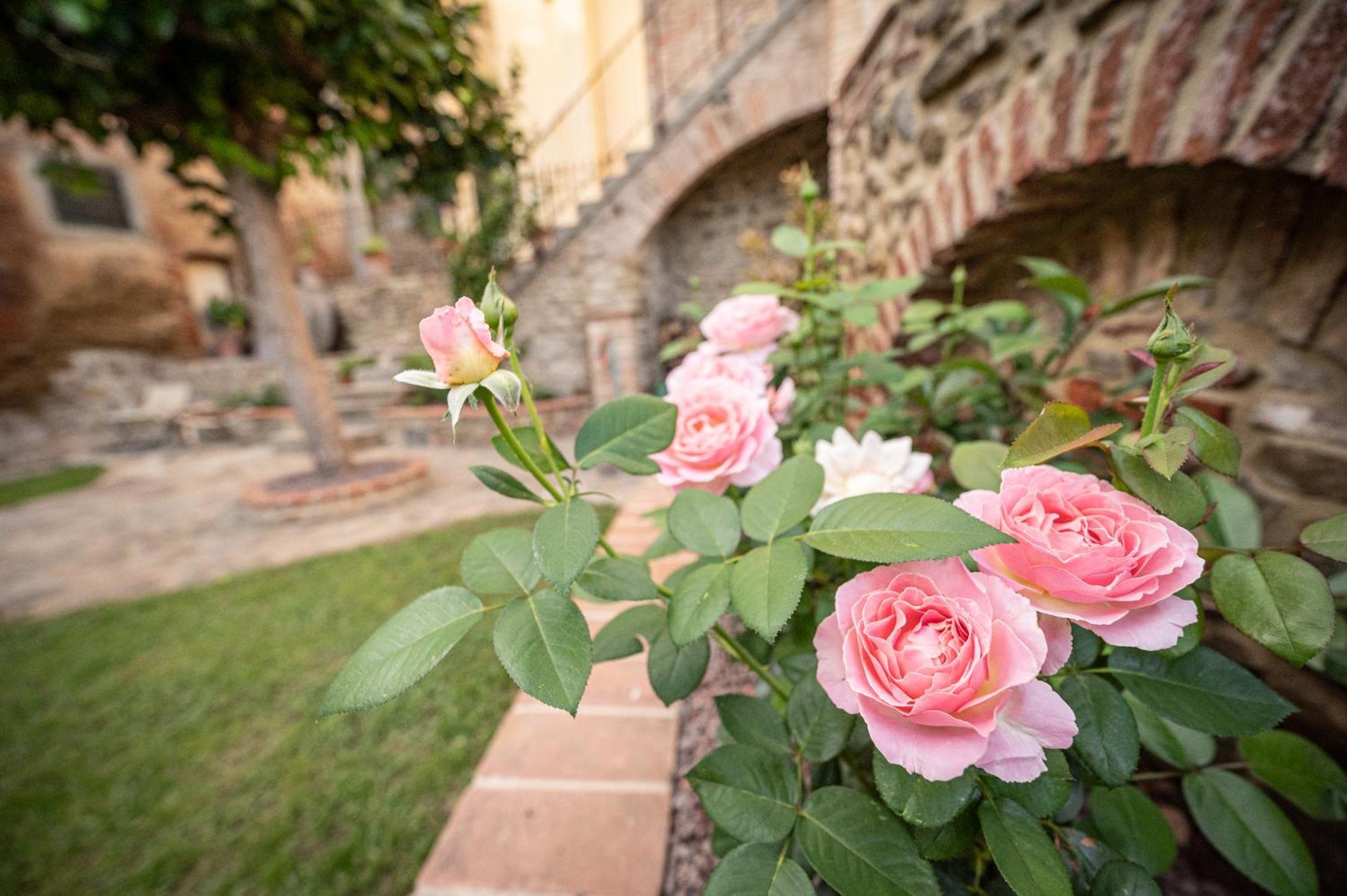 Casa La Girandola Apartman Castiglion Fiorentino Kültér fotó
